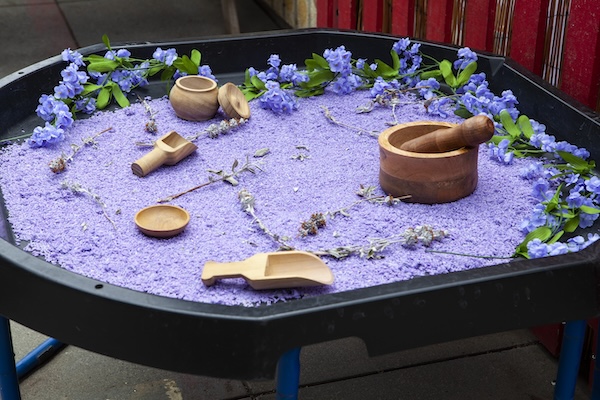 Kindergarten Readiness